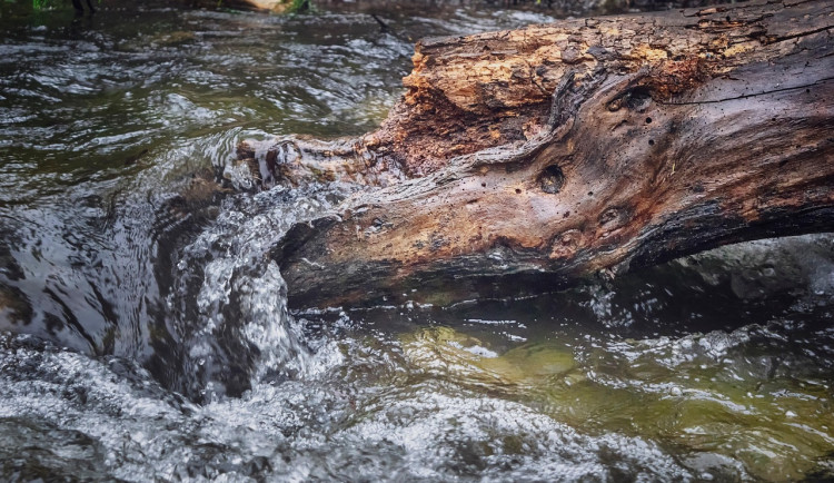 Kvalita vody v Jáchymovském potoce a Bystřici je opět v pořádku