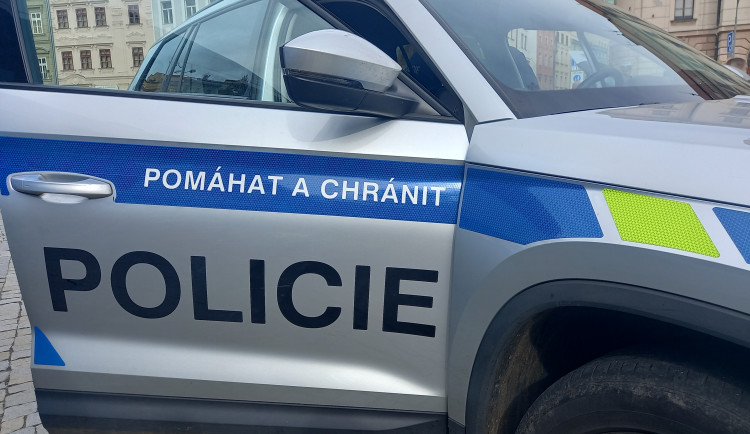 Muž chtěl telefonní číslo na prezidenta. To nedostal, navíc skončil na záchytce