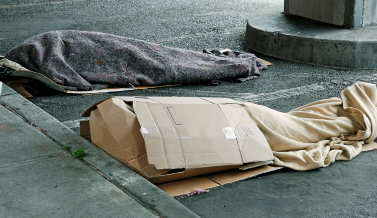 Ve Dvoře Králové se bude spát na mrazu. Startuje 12. ročník akce Noc venku