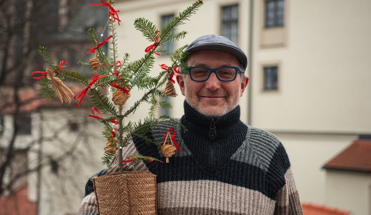 Pořiďte si na Vánoce místo stromečku jedli v květináči, vyzývají brněnští ekologové