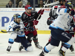 Doma opět za tři body. Tygři přetlačili Hradec 3:2