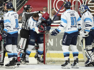 Doma opět za tři body. Tygři přetlačili Hradec 3:2