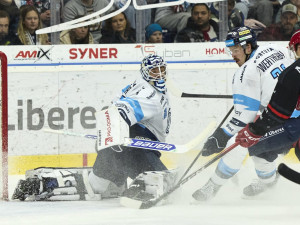 Doma opět za tři body. Tygři přetlačili Hradec 3:2
