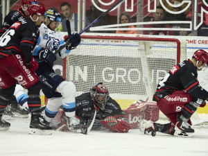 Doma opět za tři body. Tygři přetlačili Hradec 3:2