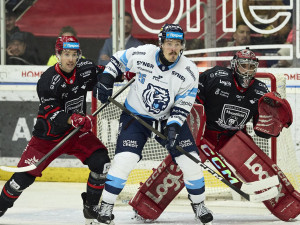 Doma opět za tři body. Tygři přetlačili Hradec 3:2