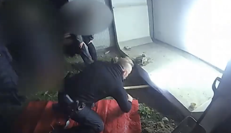 VIDEO: Kvůli záchraně kočky museli strážníci podkopat panelák