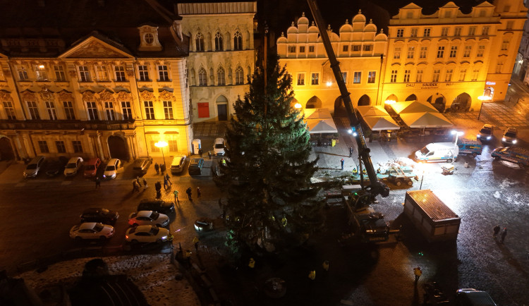 VIDEO: Vánoční strom už po malých problémech zdobí na Staromáku, rozsvítí ho v sobotu