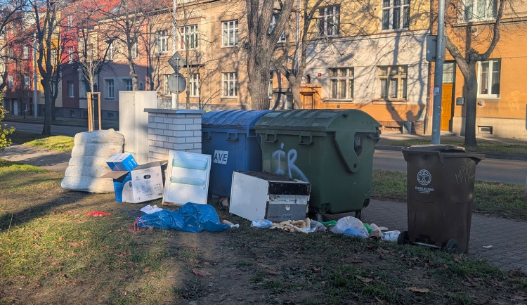 Tříděný odpad se bude svážet obden, město to vyjde na 11 milionů korun