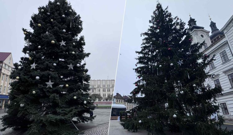 ANKETA: Které náměstí v Hradci Králové má hezčí vánoční strom?