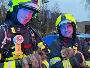Ranní požár v Rychnově u Jablonce. Hasiči zachránili muže i kočky a psa