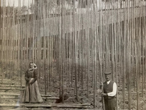 Sváteční Bidlovka vrátila do hry historické chmelové odrůdy