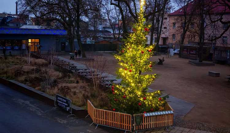VIDEO: V olomouckém parku září Kokos. Kouzelný strom hraje vánoční písně na přání