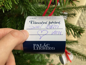 Vánoční strom přání Liberce už není na nádvoří radnice, ale Paláce Liebieg