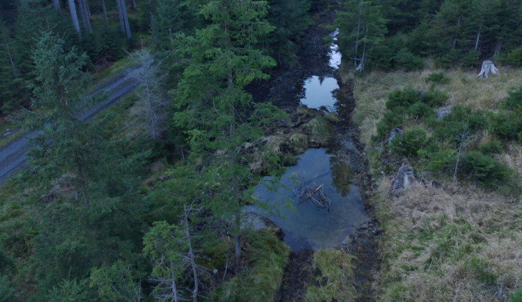 Jámy, hráze, terénní vlny, tůně. Ochranáři chtějí zabránit vodě, aby odtékala z Jeseníků