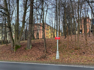 Rány sekyrou, lihový fix i punkové jméno ulice. Romská historie budí v Liberci emoce