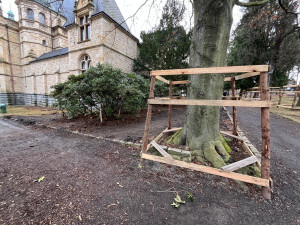 Z prostranství před muzeem zmizely rododendrony. Rekonstrukce parku začala