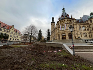 Z prostranství před muzeem zmizely rododendrony. Rekonstrukce parku začala