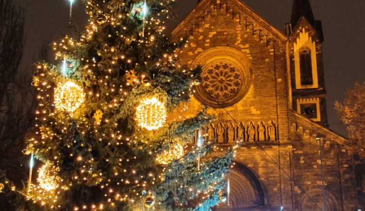 ANKETA: V hlasování o nejkrásnější vánoční strom vyhrál smrk z Prahy 8