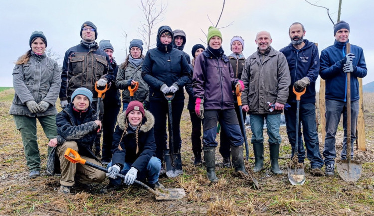 Sázeli aleje, hrabali louky. Spolku s ochrannou přírody pomohlo 800 dobrovolníků