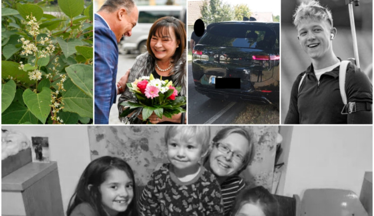 ROK 2025 NA DRBNĚ: Přemnožený keř, Ivana Zemanová, arogantní řidič, tragická úmrtí