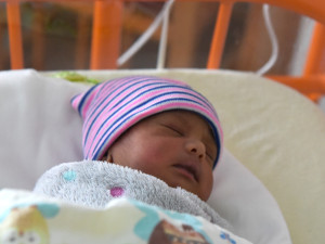 Harsh je prvním chlapcem narozeným v Libereckém kraji v roce 2026.