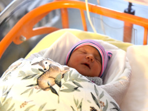 Klaudie je prvním děvčátkem a zároveň prvním děťátkem narozeným v roce 2026 v Libereckém kraji.