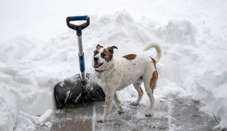 Jih Čech v pátek zasype sníh. Meteorologové varují chodce i řidiče
