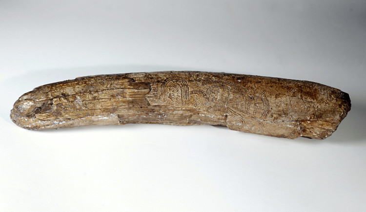 Unikátní rytina Venuše do mamutího klu z Předmostí u Přerova.