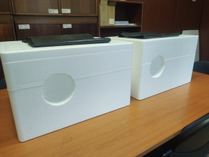 Liberec rozdává v mrazech polystyrenové boudy pro venkovní kočky