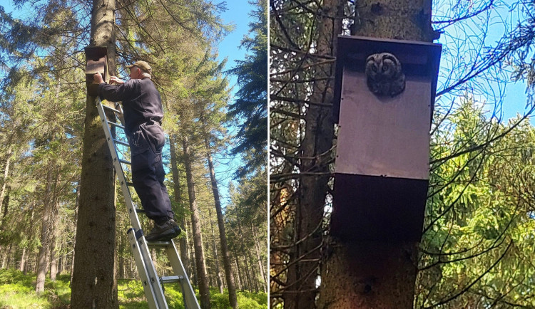 O instalované budky se každoročně pečuje a prochází údržbou