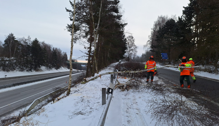 Do terénu s motorovou pilou. ŘSD v zimě prořezává nebezpečné stromy