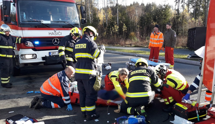 Jedna žena zahynula v lednu při nehodách v Plzeňském kraji. Nepřežila náraz do stromu