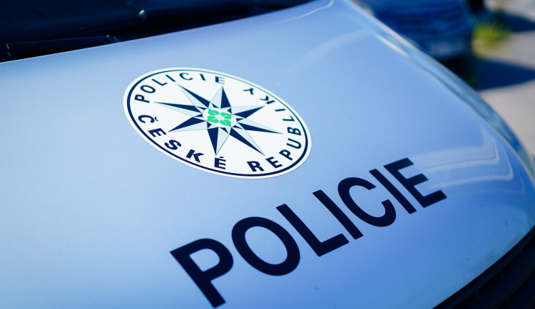 Dívka odešla z domova v Praze 8 a zmizela. Pátral po ní psovod i vrtulník s termovizí