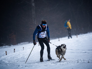 Centrum evropského mushingu. V Zásadě proběhlo domácí mistrovství psích spřežení