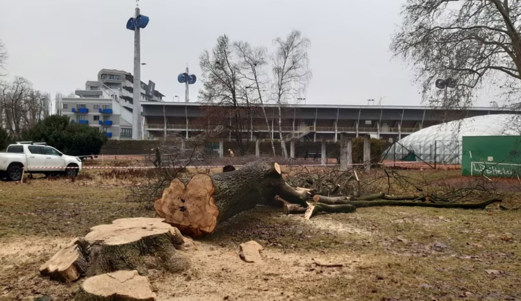 U centra Olomouce se rozběhlo kácení. Začíná roky odkládaná proměna ASO parku