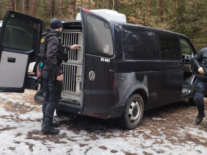 Neproklouzne ani myš. Na kontroly cizinců v České Lípě dohlížely z výšky drony