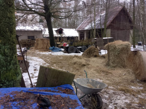 Za týrání prasat dostala chovatelka z Turnovska pokutu, řeší se u ní i další zvířata