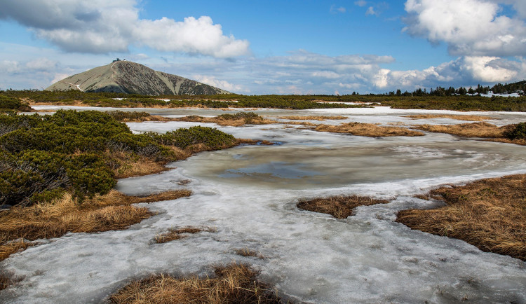 Rozpočet KRNAP seškrtali, péče o přírodu zůstává přesto prioritou