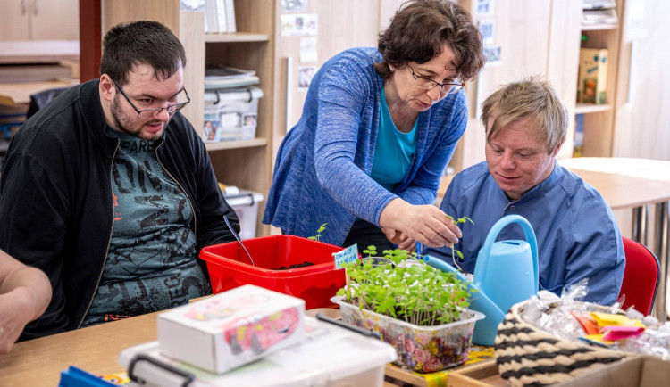 Zasaď pomoc: Nová sbírka v Jihlavě pomůže klientům Adapty se zahradničením
