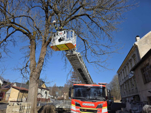 Že papoušky na rameni mají jenom piráti? Ne, v Jablonci nad Nisou i hasiči