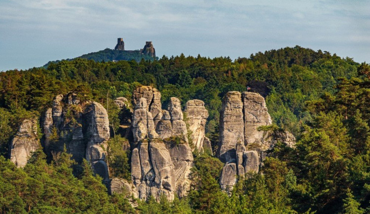 Individuálními dotacemi podpoří kraj projekty v oblasti životního prostředí