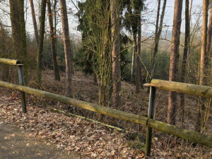 Vandalové na cyklostezce zdevastovali přírodní zábradlí z 36 smrkových kulatin