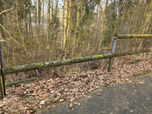 Vandalové na cyklostezce zdevastovali přírodní zábradlí z 36 smrkových kulatin