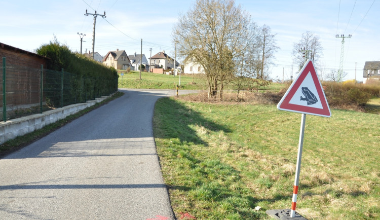 Dobrovolníci dekády zachraňují chráněné obojživelníky, stát jim teď možná nepomůže