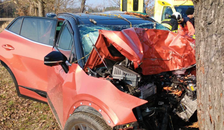 Tragédie na Jindřichohradecku. Řidič nepřežil náraz do stromu
