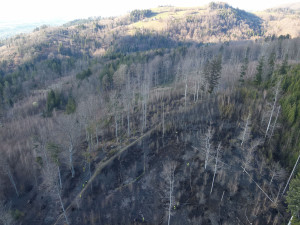 I malá nedbalost vede k živelné katastrofě, varují hasiči. Požárů v přírodě přibývá