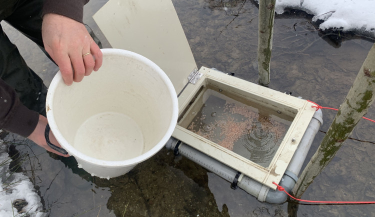 plovoucí inkubátor