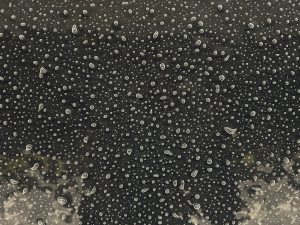 FOTO: Stanice Českomoravská prošla modernizací, přejmenovávat se nebude