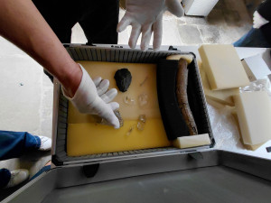 Předmostská venuše se vrátila z Turnova do Brna, výstava lákala davy