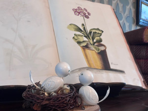 Na měsíc zákaz větrání, přikázali na Sychrově. Důvodem jsou exponáty tak křehké, že je poškodí i průvan